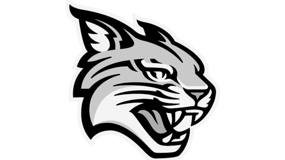 DAVIDSON LOGO